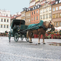 Warsaw, Poland. Tours to Warsaw, Warsaw’s churches and chapels. Venue for international conferences, meetings, incentive programmes, corporate events, and VIP and individual tours. 