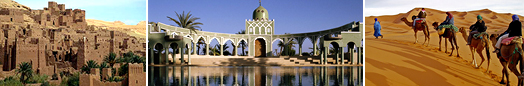  Group travel and MICE services in Marrakech