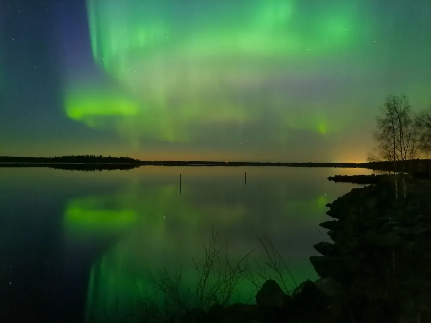 DMC Finland